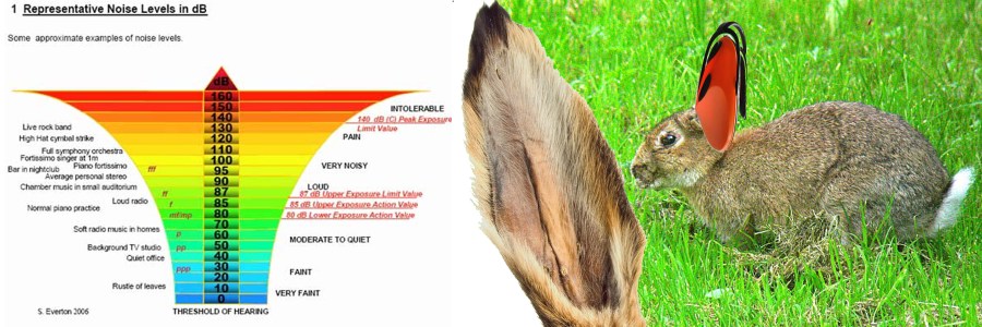 When human city culture gets in the red level the park rabbits will be handed out specially adapted earmuffs.