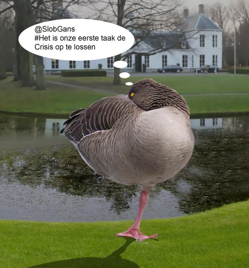 SlobGansBijCatsvijver